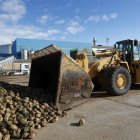 Recepción de remolacha en Azucarera de La Bañeza, que anunció su cierre el año pasado.