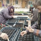 ‘Explorando las plantas tintóreas’ es un proyecto colaborativo del Real Jardín Botánico y el Centro Superior de Diseño de Moda.