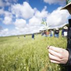 Agricultores y técnicos han evaluado la eficacia de distintas estrategias herbicidas.