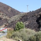 Zona afectada por los incendios en Portilla de la Reina.