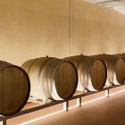 La crianza del vino en barrica forma parte del proceso de elaboración de algunos de los vinos de León, una denominación que ganó protagonismo tras la cena del Papa León XIV.