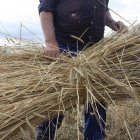 El trabajo en el campo es duro y presenta singularidades.