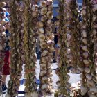 El ajo es una fuente de riqueza agroalimentaria y también a nivel económico.