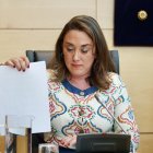 La consejera de Medio Ambiente y Energía, María González Corral, comparece en las Cortes para presentar el programa de actuaciones de su departamento para esta legislatura.