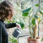 Reutilizar el agua del aire acondicionado para regar determinadas plantas puede ser una alternativa sostenible, siempre que se haga de forma ocasional y se combine con el riego habitual, según explica Mitsubishi Electric.