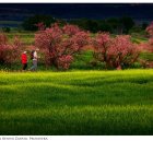 Fotografía que se mostrará en la exposición.