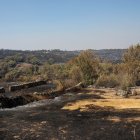 Imagen de un incendio forestal, en Fornillos de Fermoselle, el pasado mes de julio.