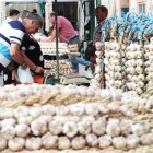 De los 225 puestos de productos, un total de 42 eran solo de ajos. Yolanda Ordás destacó las bodades del producto en su pregón muy concurrido.