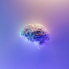 El neurólogo Masud Husain pone el foco en hábitos cotidianos como el ejercicio aeróbico y el sueño para cuidar la salud del cerebro.