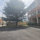 Trabajas de mantenimiento en los colegios.