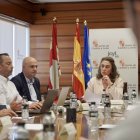 La consejera presidió este miércoles la Mesa Sectorial de la Madera.
