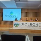 Jornadas de Ibioleón.