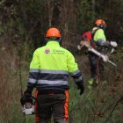 Brigadas forestales en imagen de archivo