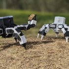Dos robots hexápodos.