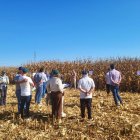 Tras la sesión formativa, los asistentes se desplazaron hasta un campo de ensayo de maíz.