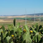 Parque eólico Statkraft en Pasada de Tejada (Cádiz).