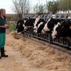 El veterinario rural Antonio Manuel Rodríguez Zarza en una explotación de la provincia leonesa.