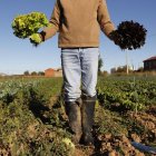 Los cambios permitirán simplificar las condiciones de elegibilidad en certificación ecológica.