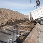 Recepción de remolacha en la fábrica de Acor en Olmedo.