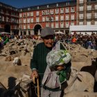 La Fiesta de la Trashumancia ha estrenado este domingo nuevo recorrido.