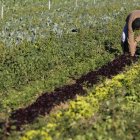 El campo emplea actualmente a 728.800 personas.