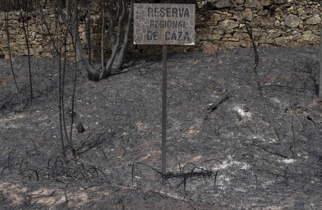 Vista de la zona afectada por el incendio forestal declarado en la Sierra de la Culebra. MARIAN MONTESINOS