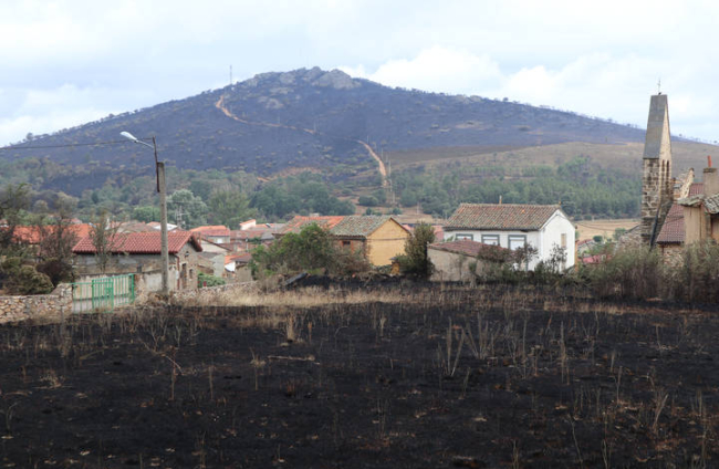 Destrucción provocada por el incendio forestal en la Sierra de la Culebra. MARIAN MONTESINOS
