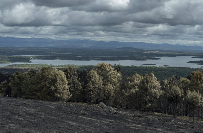 Vista general de la superficie calcinada en el incendio forestal de la reserva de la Sierra de la CulebrA. BRAIS LORENZO