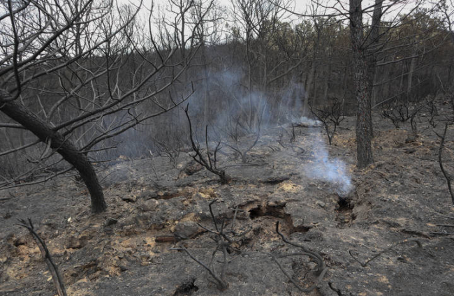 vista de la zona afectada por el incendio forestal declarado en la Sierra de la Culebra, en la provincia de Zamora. MARIAN MONTESINOS