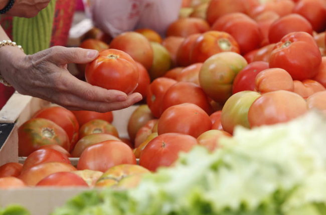 Feria del tomate de Mansilla de las Mulas. F. Otero Perandones.