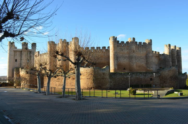 Castillo de Valencia de Don Juan. DL