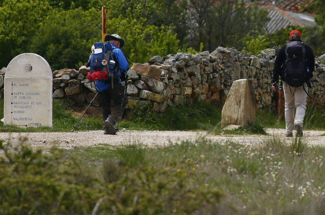 Dos peregrinos en el Camino de Santiago a su paso por el municipio de Astorga. RAMIRO