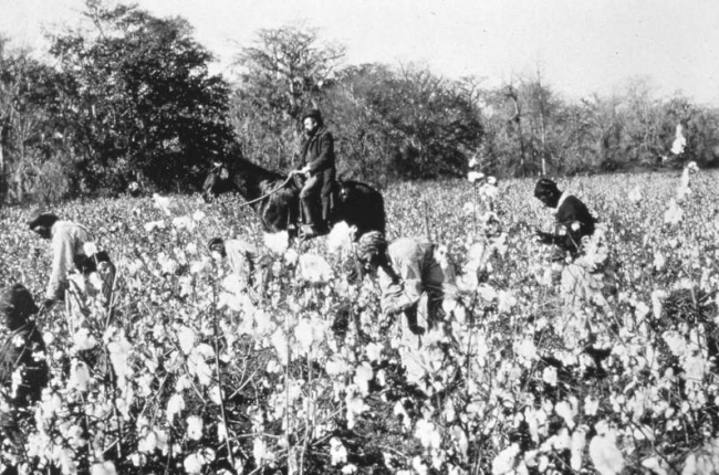 Imagen de una plantación de esclavos en Mississippi. WIKIPEDIA