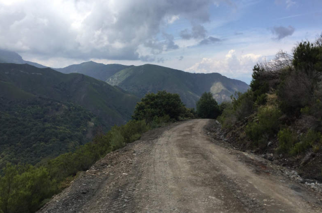 Imagen de ayer de la pista forestal del Alto de la Cruz, único acceso abierto a Peñalba. DIPUTACIÓN
