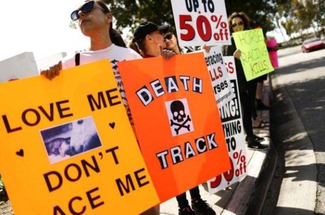 Activistas defensores de los derechos de los animales protestan, en la puerta del hipódromo de Santa Anita (Arcadia, California, EEUU), por la muerte de 22 purasangres.