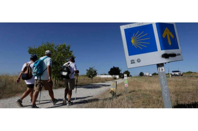 Alerta en el Camino de Santiago francés tras perder la mitad de sus  peregrinos en diez años