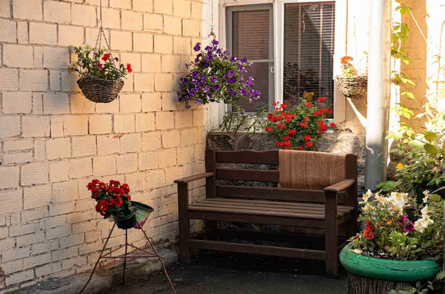 Las plantas perfectas para que tu terraza luzca increíble este verano
