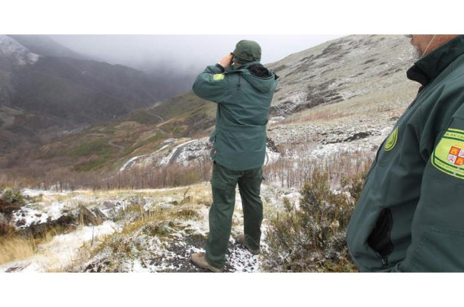 Guardias forestales de la Junta inspeccionando la zona del Morredero por la presencia del oso en una imagen de archivo. ANA F. BARREDO