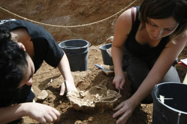 La excavación en Nesher Ramla.  UNIVERSIDAD DE TEL AVIV/YOSSI ZAIDNE