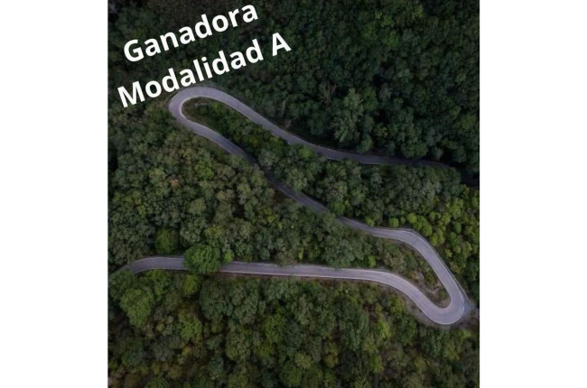 Carretera sinuosa en La Tebaida, en la serie ganadora. DL