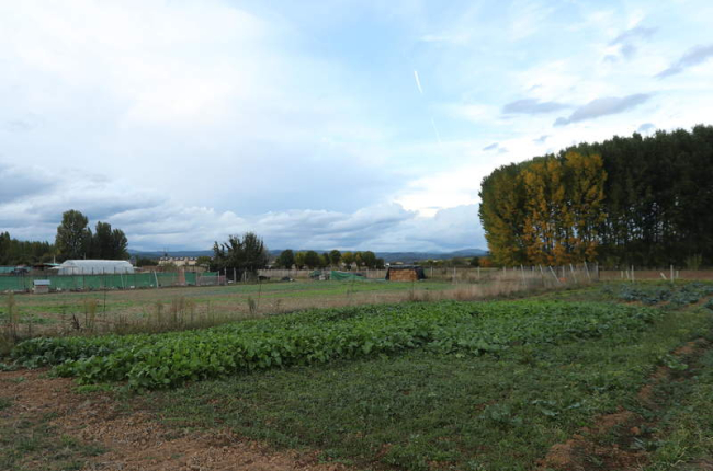 Explotación agrícola ecológica en la zona de Cubillos. ANA F. BARREDO