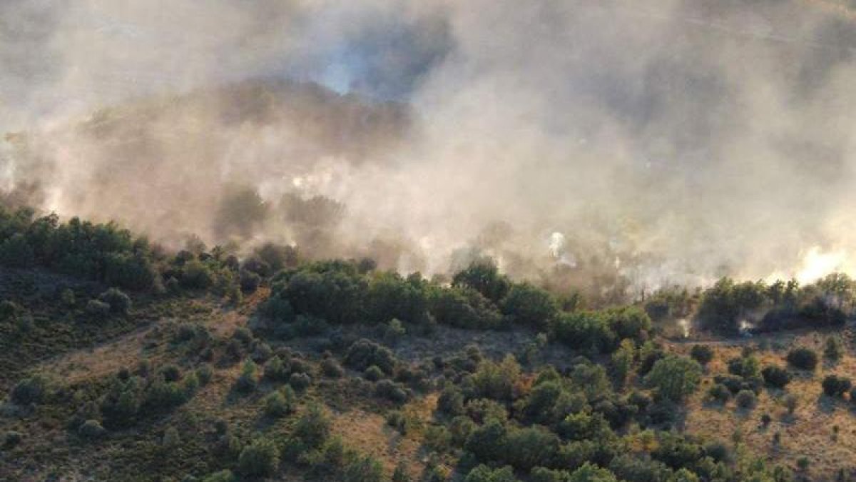 La Junta refuerza la prevención de incendios en cuatro municipios del Bierzo con una cuadrilla forestal