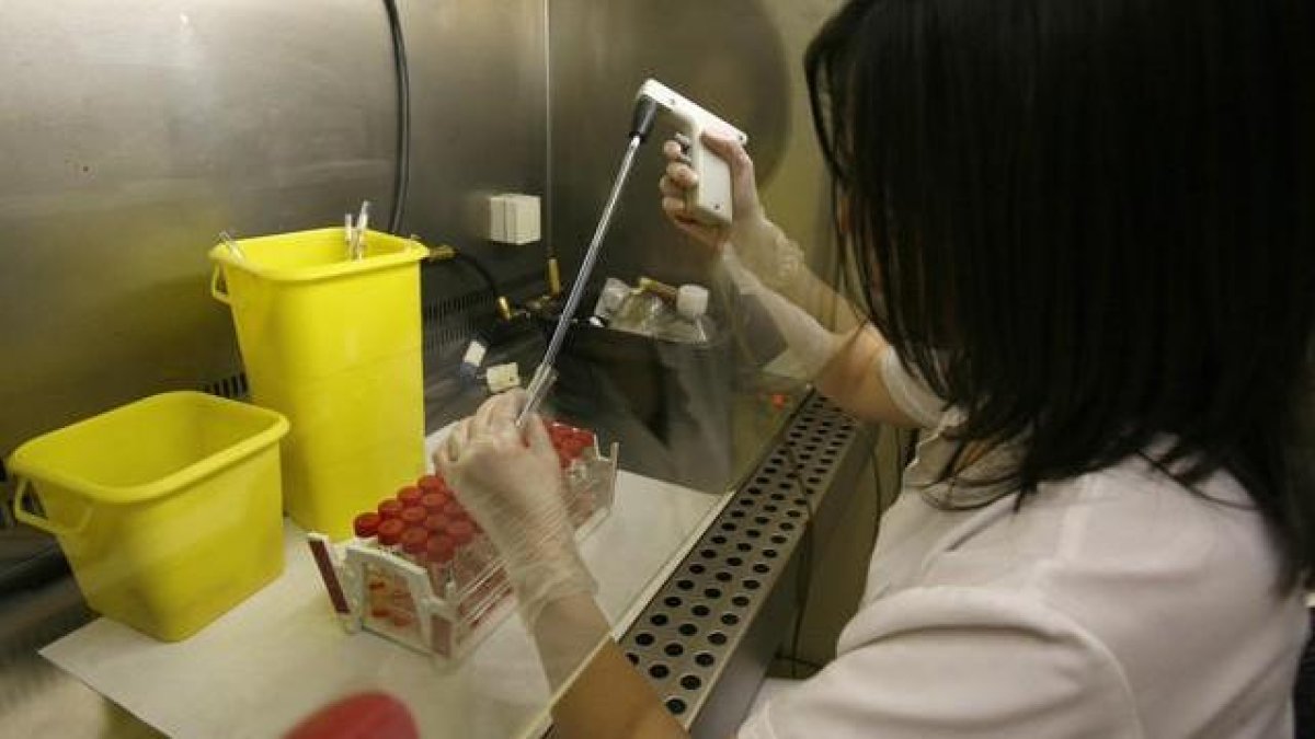 La oms tranquiliza al mundo por el brote de virus en china: 