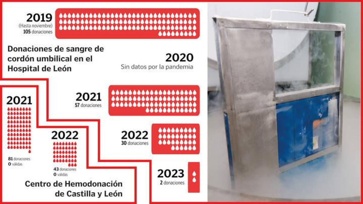 Evolución de la donaciones de sangre de cordón umbilical.