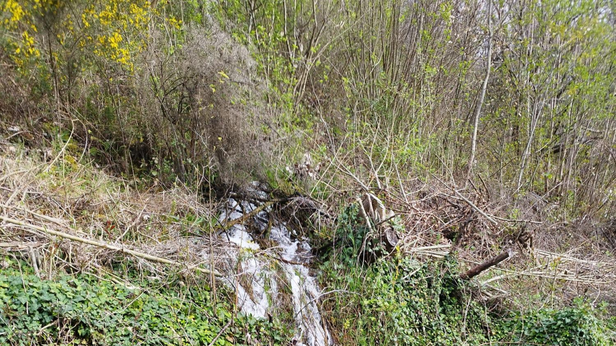 El agua baja en tromba hacia una reguera junto a las casas.
