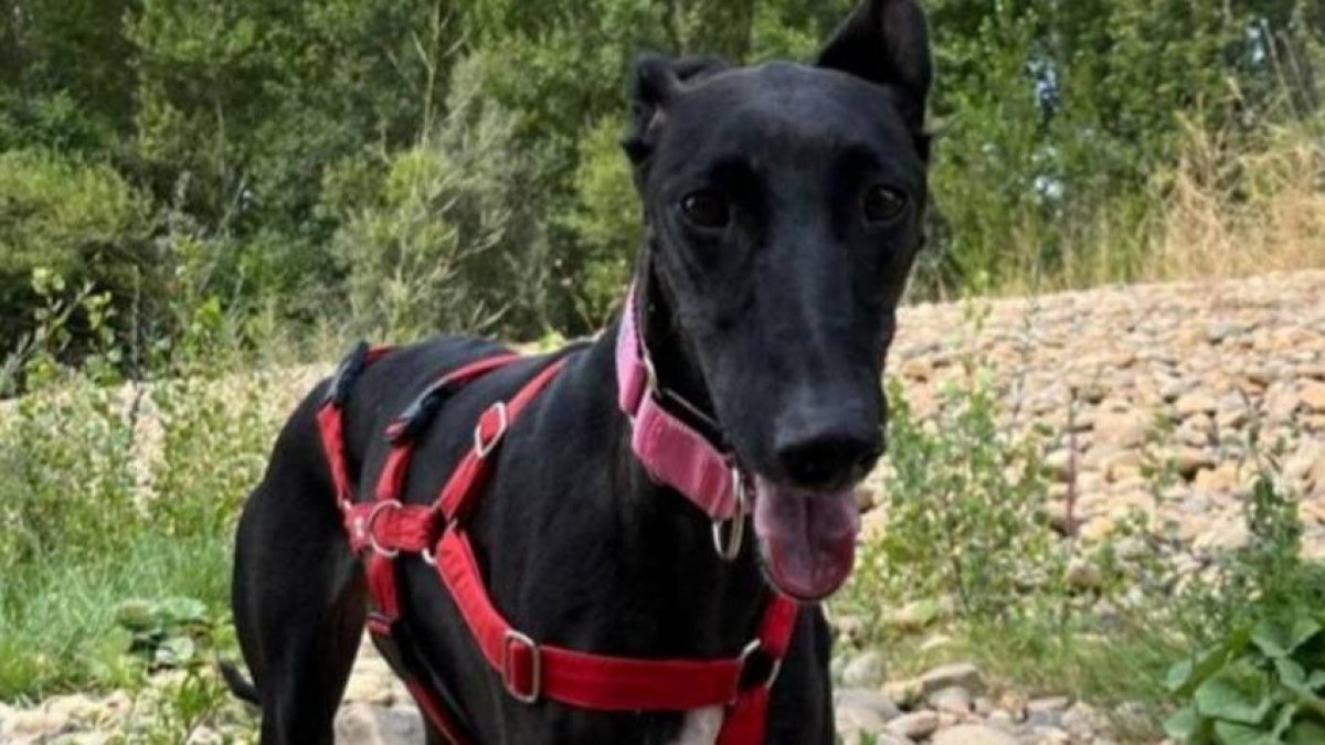 Fotografía de Jimena.