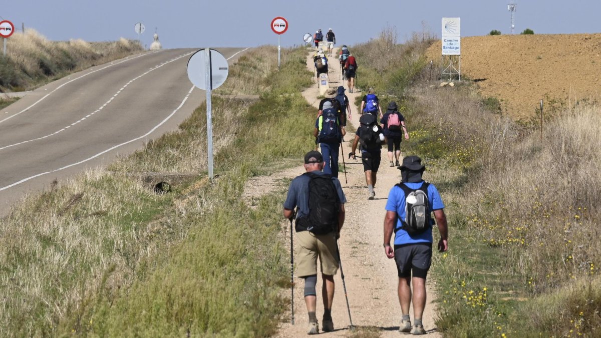 Peregrinos caminan un tramo del Camino de Santiago francés en la provincia de Palencia. EFE/ Almudena Álvarez