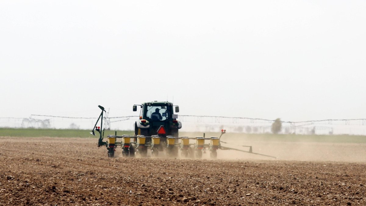 Un agricultor en Tierra de Campos.