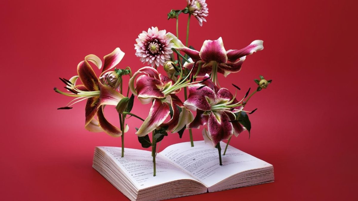 Imagen del cartel del festival Palabra.