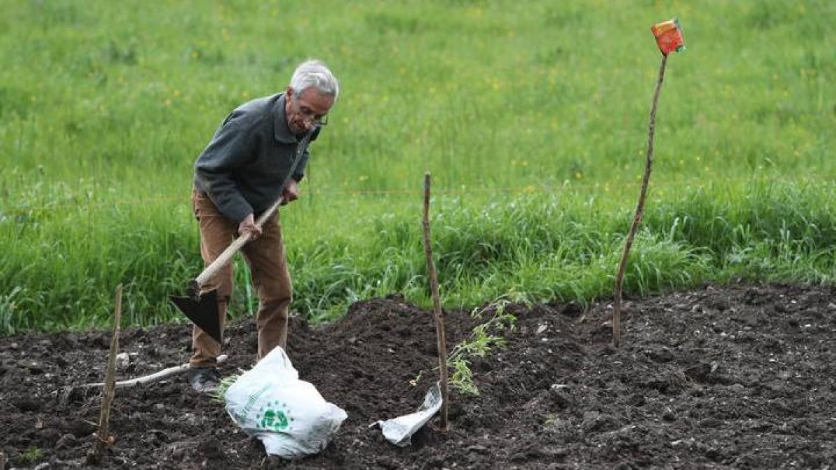 León fue pionera en la creación de huertos urbanos.